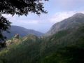 Madeira0838.JPG